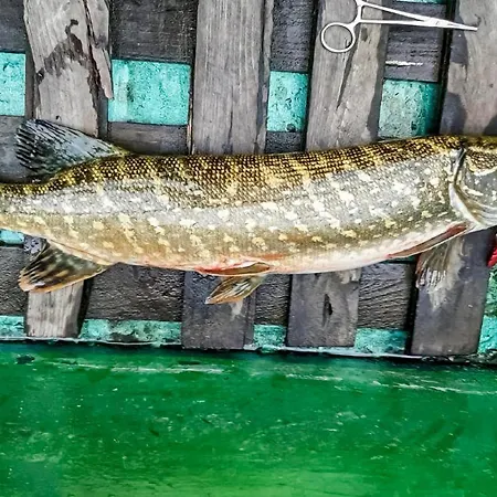 Awesome In With View * Boruja