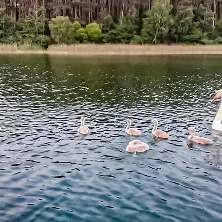 Awesome In With View بيت للعطل