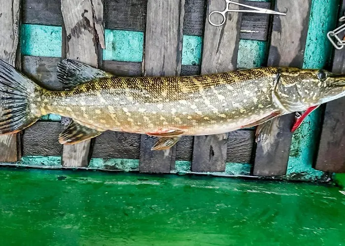 Awesome In With View Holiday home *